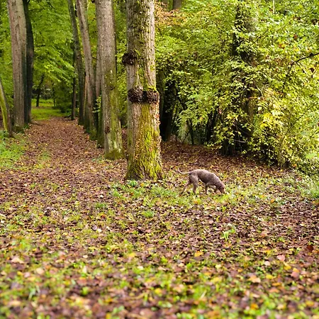Gasthof Cascina Romanino 3*