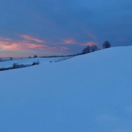 Gasthuis Cascina Romanino 3*