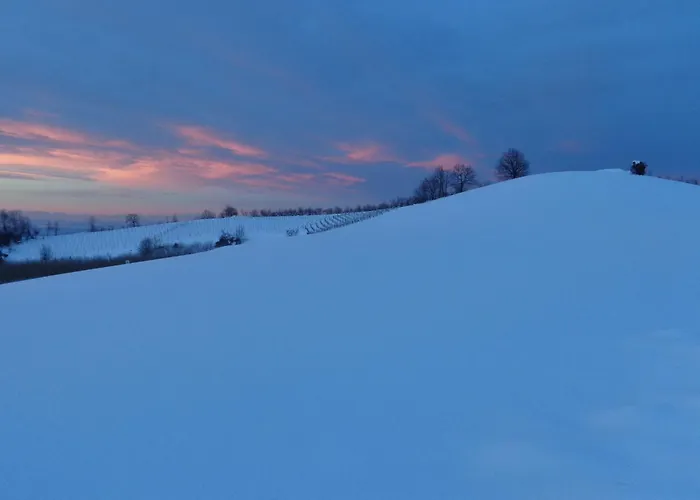 بيت ضيافة Cascina Romanino 3*